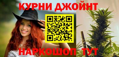 дживик Моздок