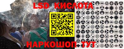 дживик Моздок