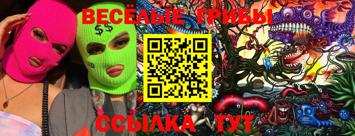 Галлюциногенные грибы MAGIC MUSHROOMS  Псилоцибиновые грибы прущие грибы  Вход с VPN  Будённовск 